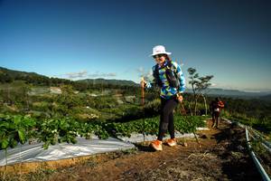 BIB: 
                            <button type="button" onclick="openModal(19122163)" class="btn btn-primary btn-sm float-right btn-popup" data-toggle="modal" data-target=".modal-high-quality">
                        <i class="fas fa-shopping-cart"></i> Add to Cart
                    </button>
                                            <button type="button" onclick="isThisMe(19122163, true)" class="btn btn-success btn-sm float-right btn-popup btn-isme hidden" data-toggle="tooltip" data-placement="bottom" title="นี่คือรูปของคุณใช่ไหม คลิกที่นี่เพื่อเอาเข้าอัลบั้ม">
                        <i class="fas fa-plus"></i> Add to album
                    </button>
                    <button type="button" onclick="isThisMe(19122163, false)" class="btn btn-warning btn-sm float-right btn-popup btn-isnotme hidden">
                        <i class="fas fa-ban"></i> Remove from album
                    </button>